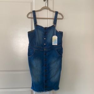 Fall Denim dress